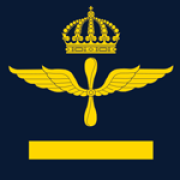 VIGGEN Flygvapnet MENIG 1
